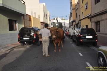 Romerías del Carmen en Marpequeña, Medianía y Las Huesas (Foto TF y TA)